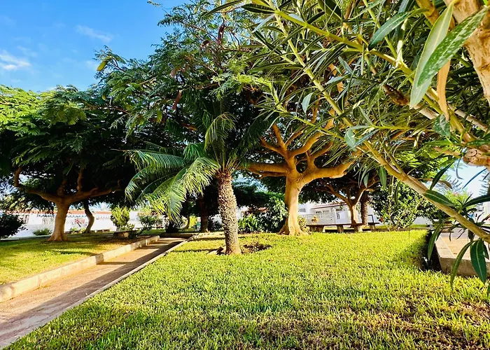 Sunny Summer Place Daire