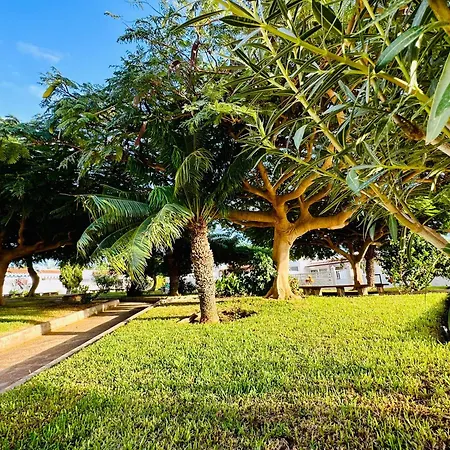 Sunny Summer Place Apartment