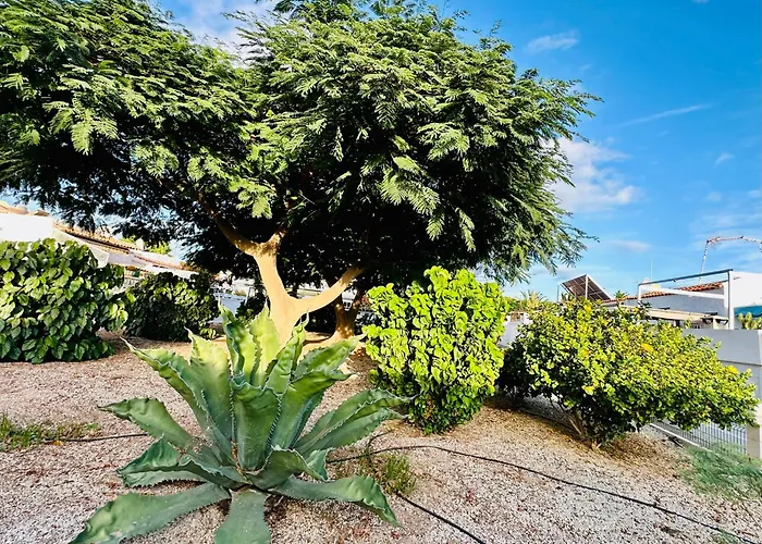 Sunny Summer Place Διαμέρισμα