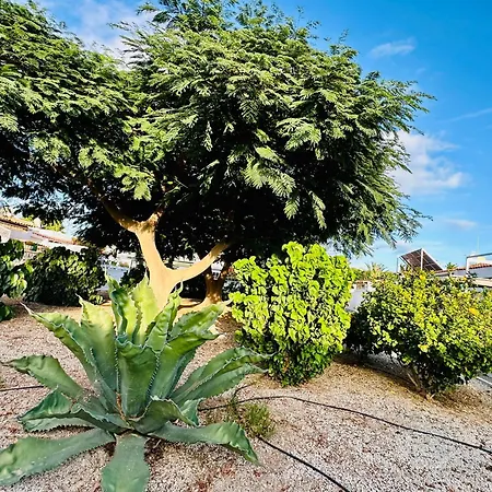 Sunny Summer Place Apartament